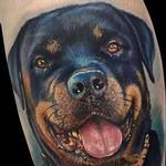 Tattoos - Rottweiler Portrait - 116890